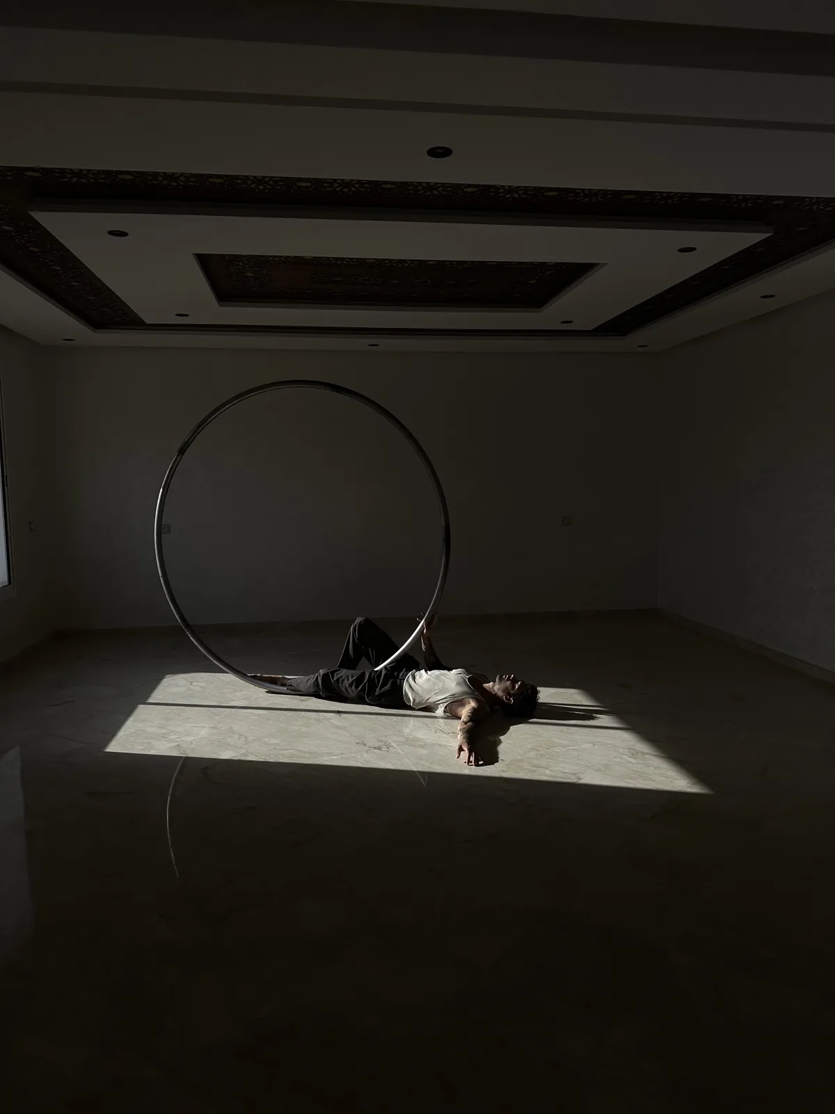 Jonathan Möller — Cyr Wheel